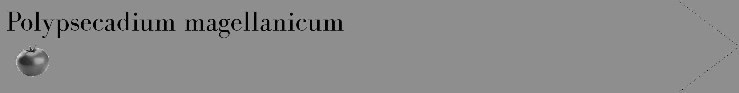 Étiquette de : Polypsecadium magellanicum - format c - style noire25_simple_simplebod avec comestibilité simplifiée