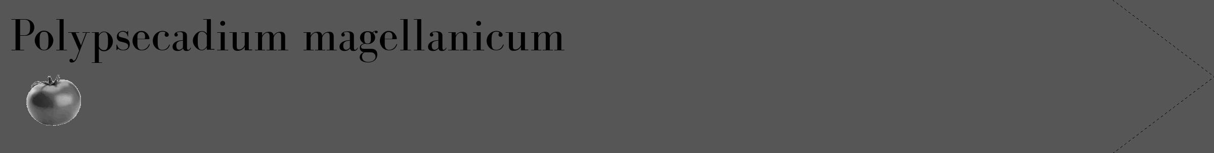 Étiquette de : Polypsecadium magellanicum - format c - style noire45_simple_simplebod avec comestibilité simplifiée