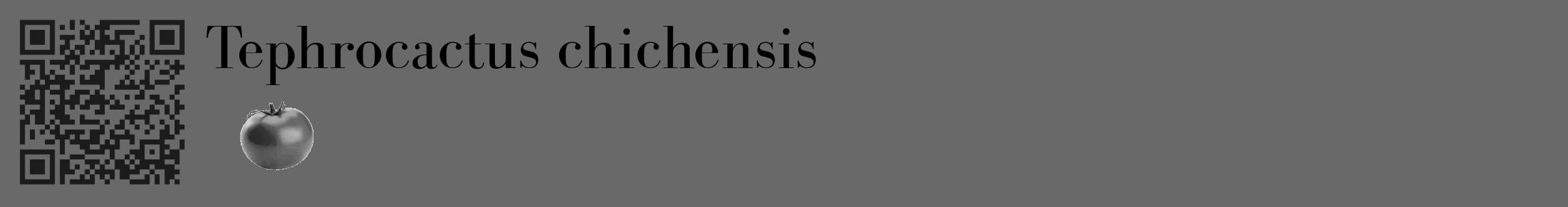 Étiquette de : Tephrocactus chichensis - format c - style noire11_basique_basiquebod avec qrcode et comestibilité simplifiée