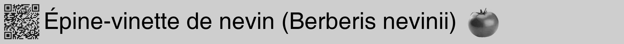 Étiquette de : Berberis nevinii - format a - style noire17basiquehel avec qrcode et comestibilité simplifiée
