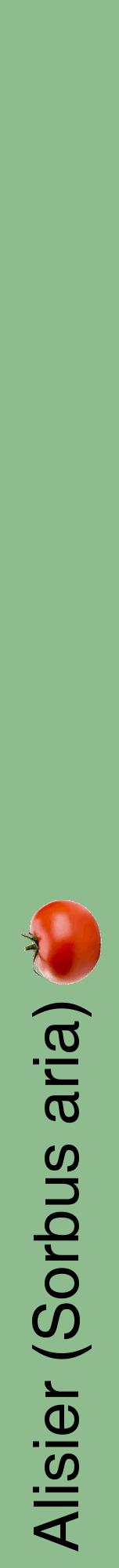 Étiquette de : Sorbus aria - format a - style noire13hel avec comestibilité simplifiée