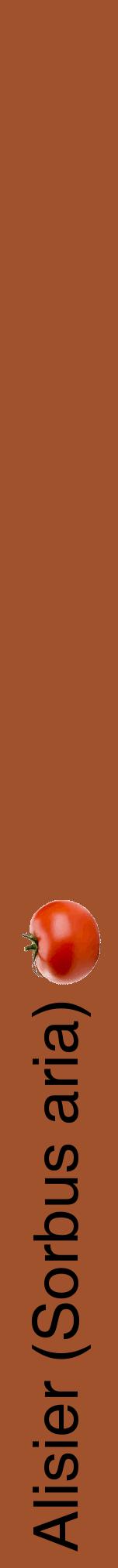 Étiquette de : Sorbus aria - format a - style noire32hel avec comestibilité simplifiée