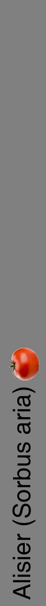 Étiquette de : Sorbus aria - format a - style noire57hel avec comestibilité simplifiée