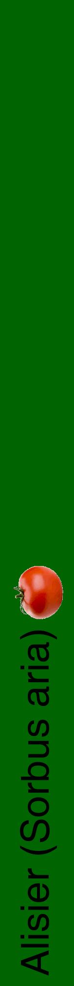 Étiquette de : Sorbus aria - format a - style noire8hel avec comestibilité simplifiée