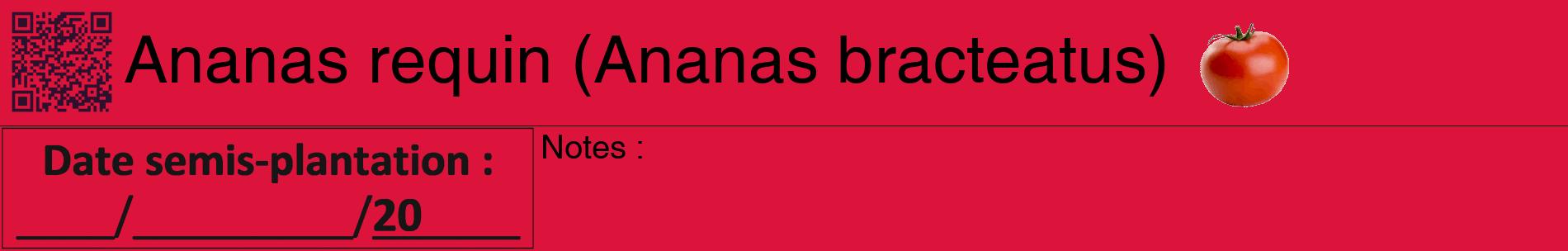 Étiquette de : Ananas bracteatus - format a - style noire36basiquehel avec qrcode et comestibilité simplifiée