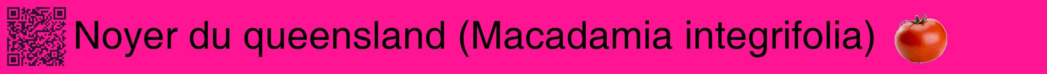Étiquette de : Macadamia integrifolia - format a - style noire43basiquehel avec qrcode et comestibilité simplifiée