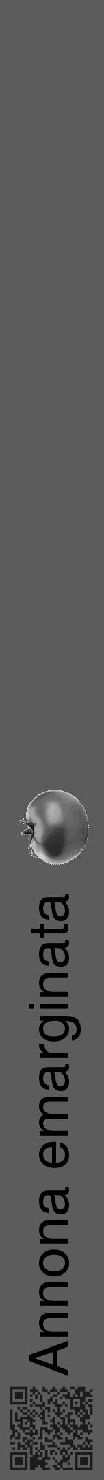 Étiquette de : Annona emarginata - format a - style noire49hel avec qrcode et comestibilité simplifiée - position verticale