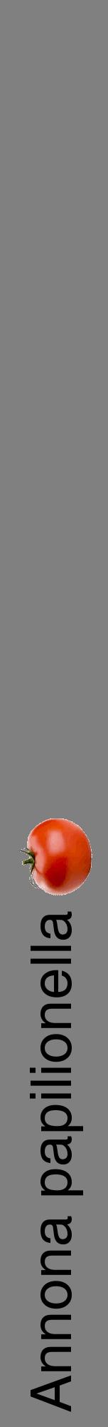 Étiquette de : Annona papilionella - format a - style noire57hel avec comestibilité simplifiée