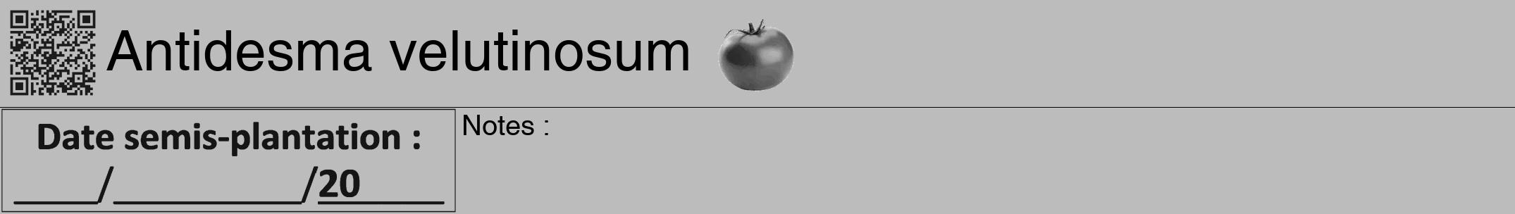 Étiquette de : Antidesma velutinosum - format a - style noire1hel avec qrcode et comestibilité simplifiée