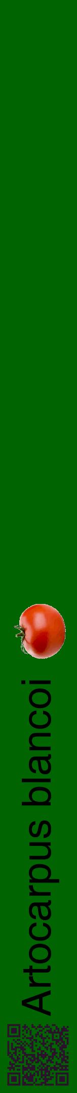 Étiquette de : Artocarpus blancoi - format a - style noire8hel avec qrcode et comestibilité simplifiée