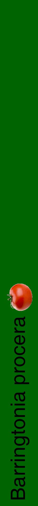 Étiquette de : Barringtonia procera - format a - style noire8hel avec comestibilité simplifiée