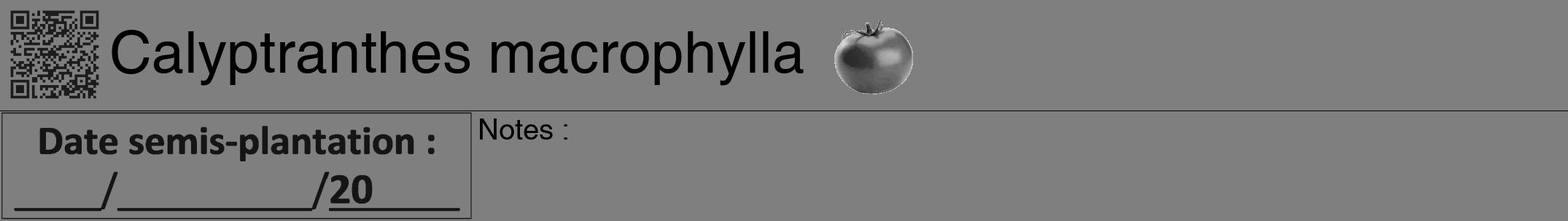 Étiquette de : Calyptranthes macrophylla - format a - style noire31hel avec qrcode et comestibilité simplifiée