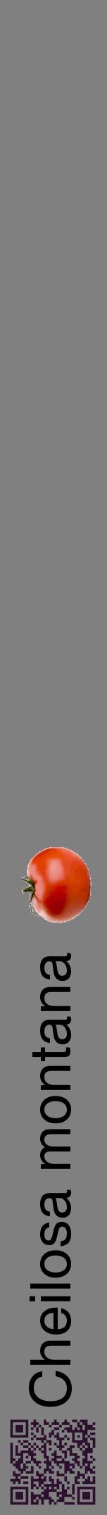 Étiquette de : Cheilosa montana - format a - style noire57hel avec qrcode et comestibilité simplifiée
