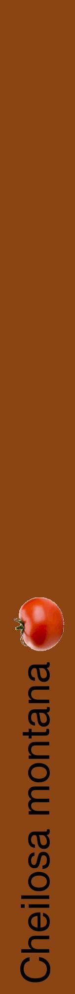Étiquette de : Cheilosa montana - format a - style noire30hel avec comestibilité simplifiée