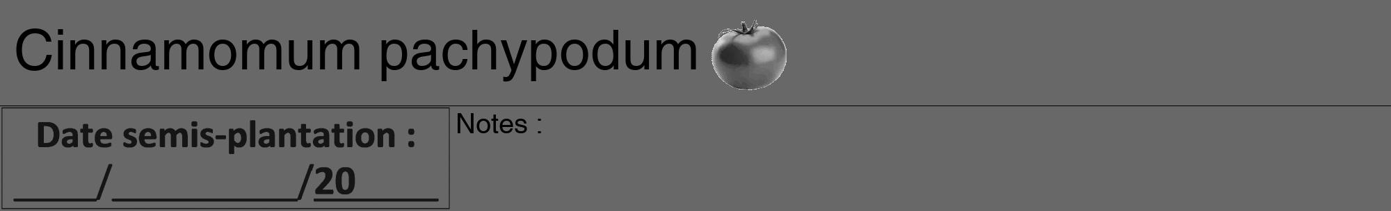 Étiquette de : Cinnamomum pachypodum - format a - style noire43hel avec comestibilité simplifiée