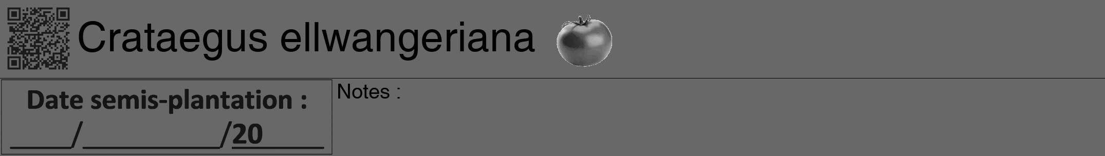 Étiquette de : Crataegus ellwangeriana - format a - style noire43hel avec qrcode et comestibilité simplifiée