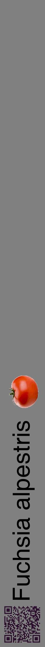 Étiquette de : Fuchsia alpestris - format a - style noire57hel avec qrcode et comestibilité simplifiée