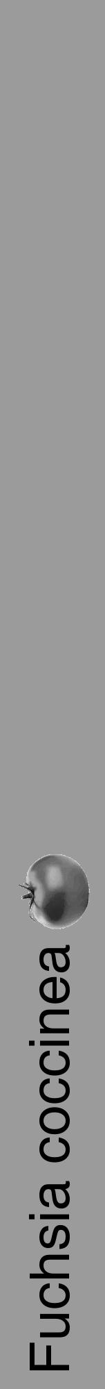 Étiquette de : Fuchsia coccinea - format a - style noire52hel avec comestibilité simplifiée - position verticale