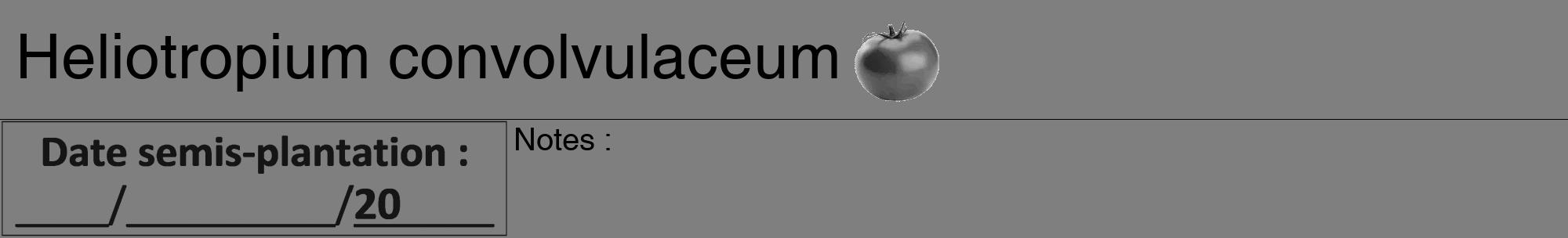 Étiquette de : Heliotropium convolvulaceum - format a - style noire57hel avec comestibilité simplifiée
