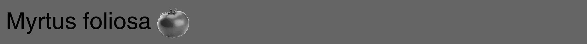 Étiquette de : Myrtus foliosa - format a - style noire32hel avec comestibilité simplifiée