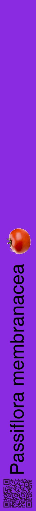 Étiquette de : Passiflora membranacea - format a - style noire49hel avec qrcode et comestibilité simplifiée