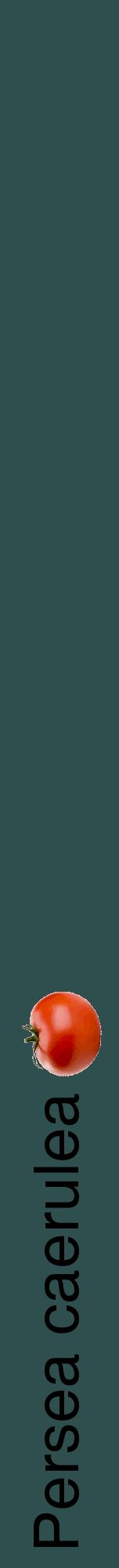 Étiquette de : Persea caerulea - format a - style noire58hel avec comestibilité simplifiée