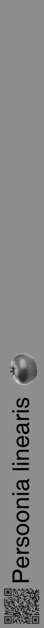Étiquette de : Persoonia linearis - format a - style noire2hel avec qrcode et comestibilité simplifiée - position verticale