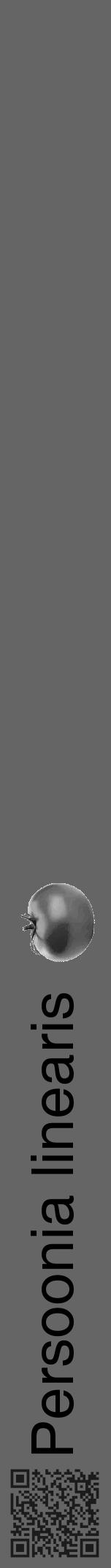 Étiquette de : Persoonia linearis - format a - style noire32hel avec qrcode et comestibilité simplifiée - position verticale