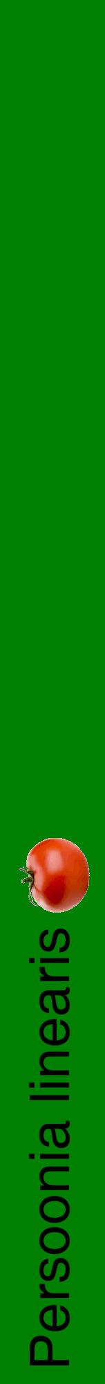 Étiquette de : Persoonia linearis - format a - style noire9hel avec comestibilité simplifiée