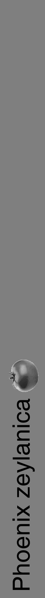 Étiquette de : Phoenix zeylanica - format a - style noire31hel avec comestibilité simplifiée - position verticale
