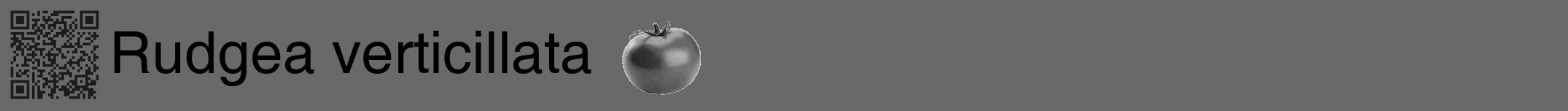 Étiquette de : Rudgea verticillata - format a - style noire11hel avec qrcode et comestibilité simplifiée