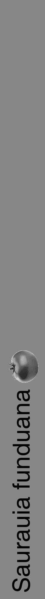 Étiquette de : Saurauia funduana - format a - style noire12hel avec comestibilité simplifiée - position verticale