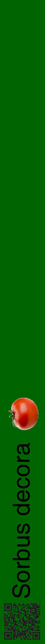 Étiquette de : Sorbus decora - format a - style noire8hel avec qrcode et comestibilité simplifiée