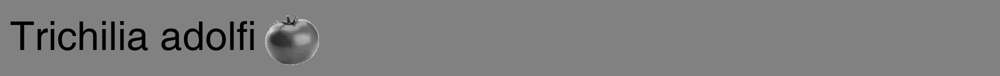 Étiquette de : Trichilia adolfi - format a - style noire50hel avec comestibilité simplifiée