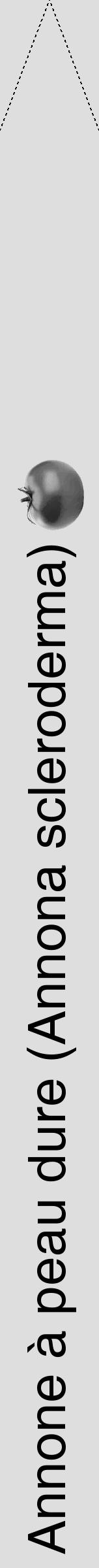 Étiquette de : Annona scleroderma - format b - style noire20hel avec comestibilité simplifiée - position verticale