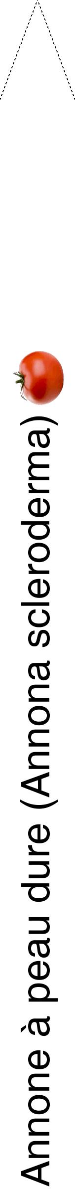 Étiquette de : Annona scleroderma - format b - style noire60hel avec comestibilité simplifiée