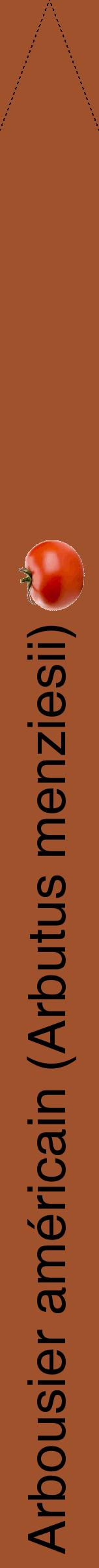 Étiquette de : Arbutus menziesii - format b - style noire32hel avec comestibilité simplifiée