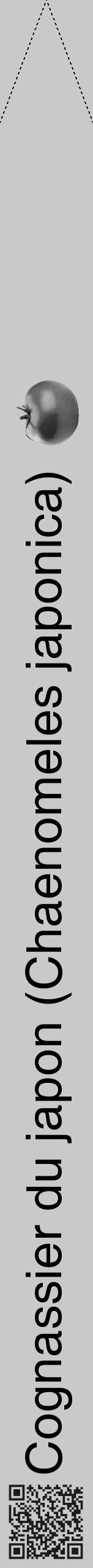 Étiquette de : Chaenomeles japonica - format b - style noire54simplehel avec qrcode et comestibilité simplifiée - position verticale