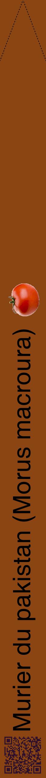 Étiquette de : Morus macroura - format b - style noire30hel avec qrcode et comestibilité simplifiée