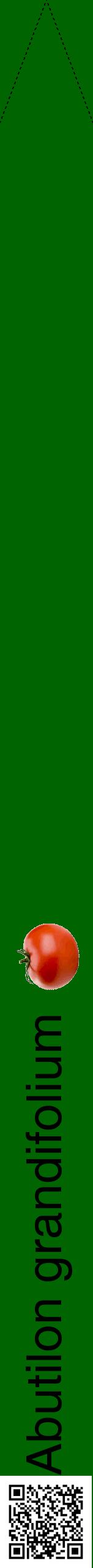 Étiquette de : Abutilon grandifolium - format b - style noire8hel avec qrcode et comestibilité simplifiée