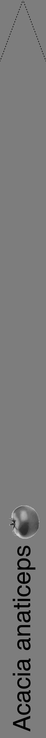 Étiquette de : Acacia anaticeps - format b - style noire35hel avec comestibilité simplifiée - position verticale