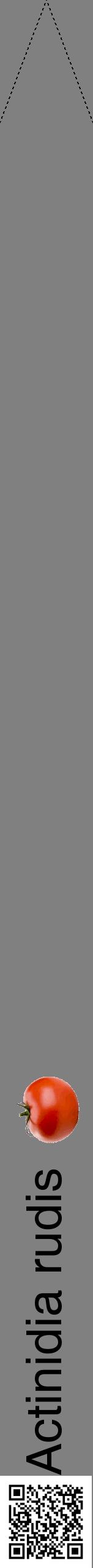 Étiquette de : Actinidia rudis - format b - style noire57hel avec qrcode et comestibilité simplifiée