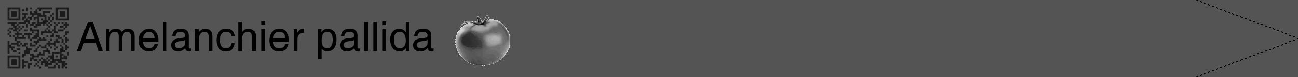 Étiquette de : Amelanchier pallida - format b - style noire36hel avec qrcode et comestibilité simplifiée