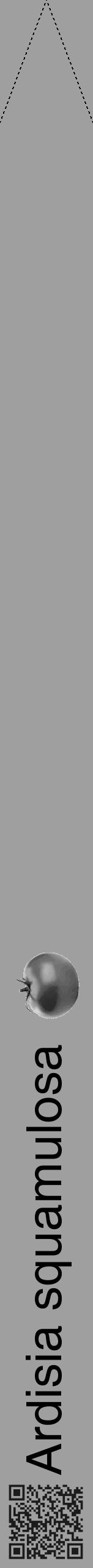 Étiquette de : Ardisia squamulosa - format b - style noire24hel avec qrcode et comestibilité simplifiée - position verticale