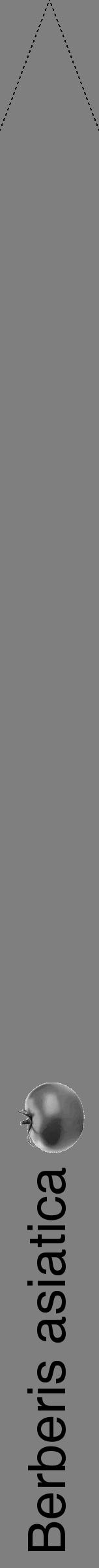 Étiquette de : Berberis asiatica - format b - style noire31hel avec comestibilité simplifiée - position verticale