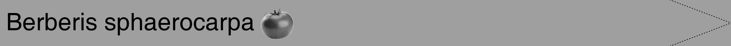 Étiquette de : Berberis sphaerocarpa - format b - style noire24hel avec comestibilité simplifiée