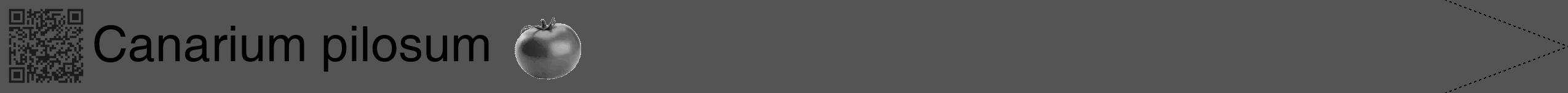 Étiquette de : Canarium pilosum - format b - style noire36hel avec qrcode et comestibilité simplifiée