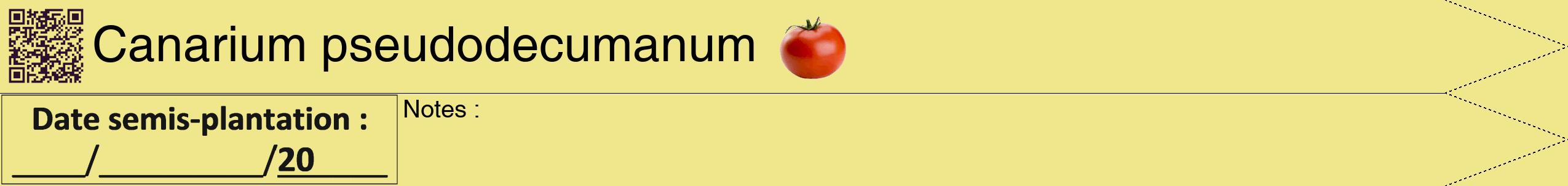 Étiquette de : Canarium pseudodecumanum - format b - style noire20hel avec qrcode et comestibilité simplifiée