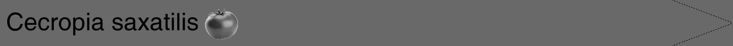 Étiquette de : Cecropia saxatilis - format b - style noire51hel avec comestibilité simplifiée