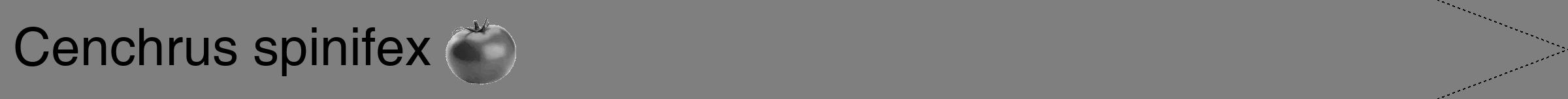 Étiquette de : Cenchrus spinifex - format b - style noire31hel avec comestibilité simplifiée